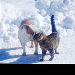 Meet your Posher, Kimberly